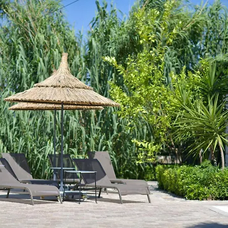 Okapi Hotel