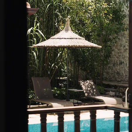 Hotel Okapi